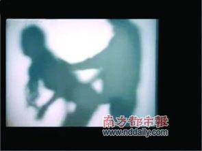 国产黄在线观看视频,揭秘网络黄流背后的真相与危害