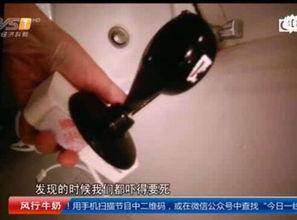 国产摄像头盗摄视频,视频泄露背后的惊悚真相